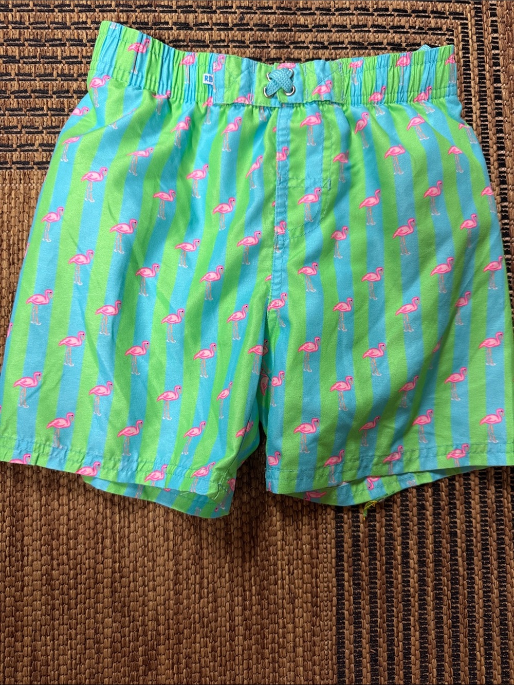 Kids Bright Green & Aqua Flamingo Swim Trunks